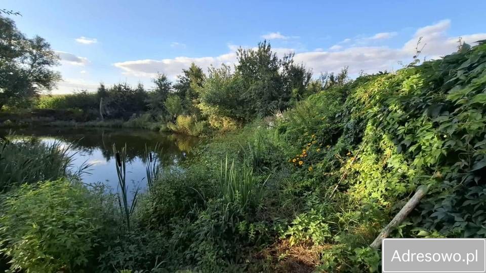 dom wolnostojący Piskorczyn. Zdjęcie 6