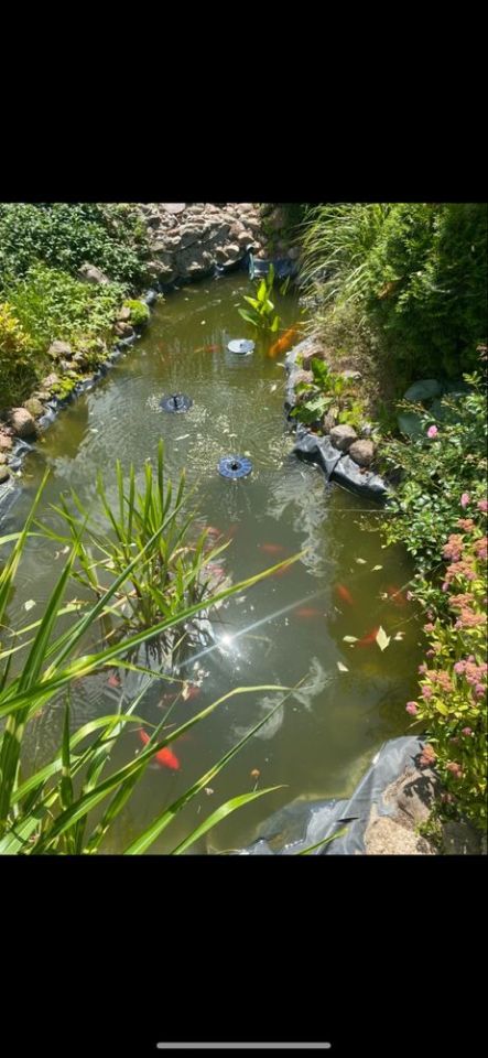 Działka rod Szałe. Zdjęcie 3