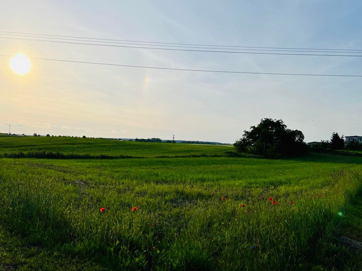 Działka rolno-budowlana Michałowo. Zdjęcie 6