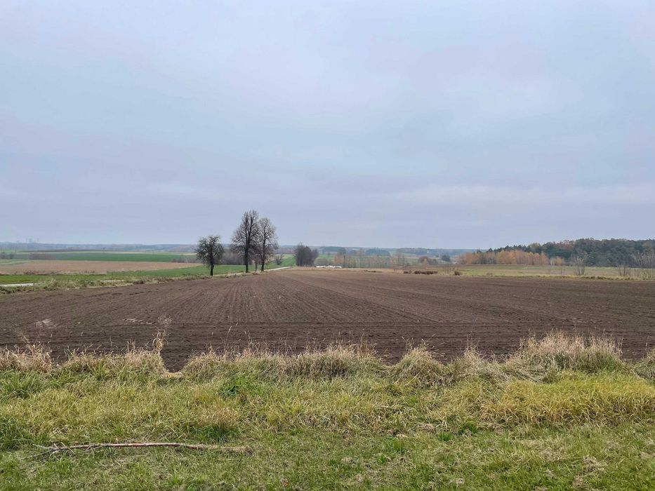 Działka rolna Jankowice. Zdjęcie 6