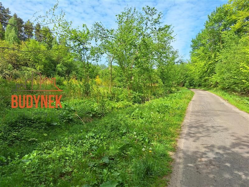 Działka rolna Paproty. Zdjęcie 11