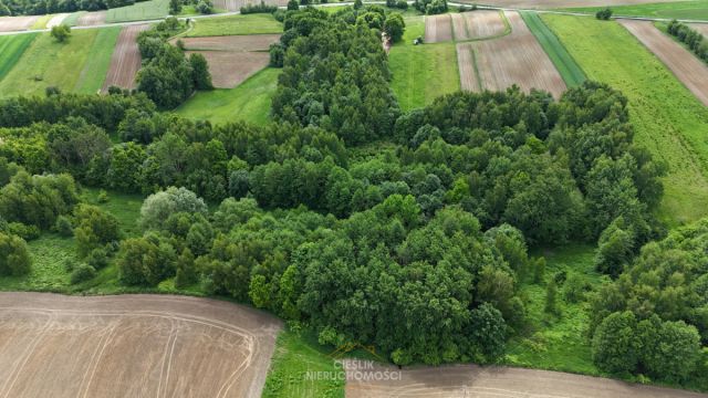 Działka rolna Czułów. Zdjęcie 4