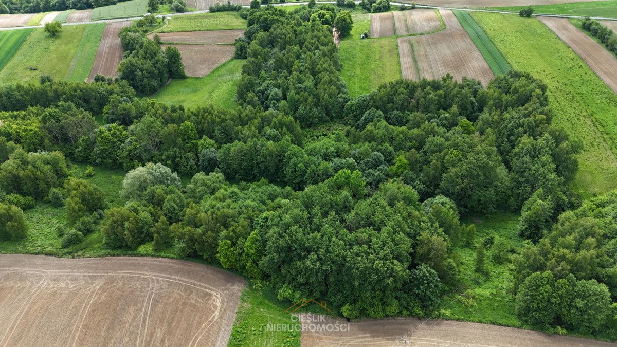 Działka rolna Czułów. Zdjęcie 4