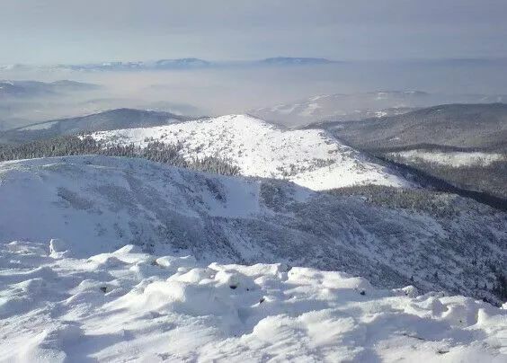 Działka budowlana Trojanowice, ul. Wąwozowa. Zdjęcie 17