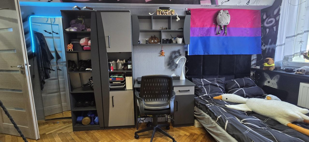 Mieszkanie 3-pokojowe Sosnowiec Centrum, ul. Anieli Urbanowicz. Zdjęcie 12