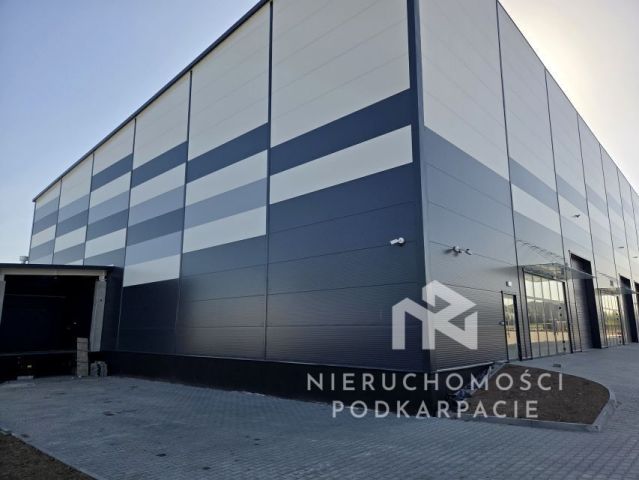 Hala/magazyn Rzeszów Dworzysko, ul. Biznesowa. Zdjęcie 7