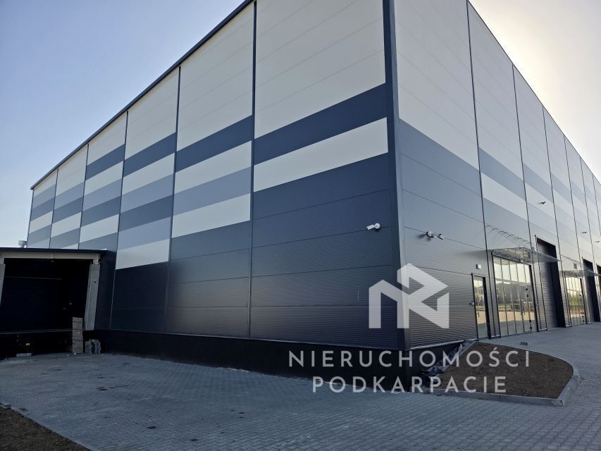 Hala/magazyn Rzeszów Dworzysko, ul. Biznesowa. Zdjęcie 7