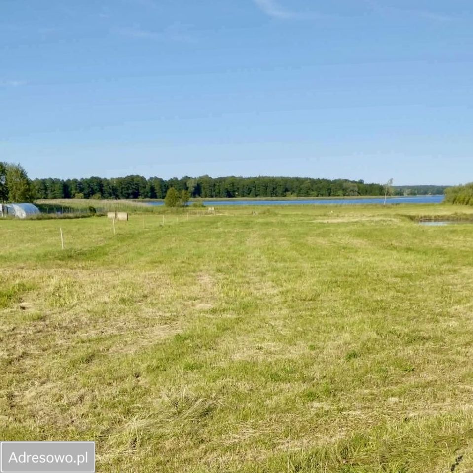 Działka rolna Targowo. Zdjęcie 3