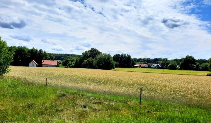 Działka budowlana Wilkowa