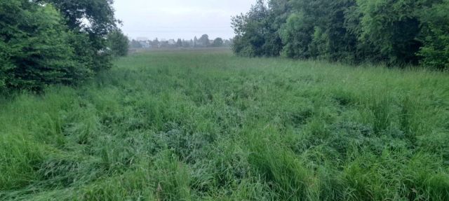 Działka budowlana Domaszowice, ul. Walerego Przyborowskiego. Zdjęcie 1