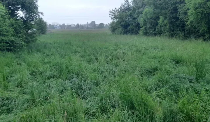 Działka budowlana Domaszowice, ul. Walerego Przyborowskiego