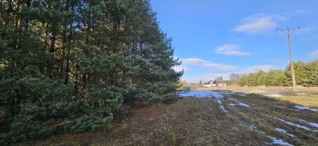 Działka budowlana Drogoszowice. Zdjęcie 7