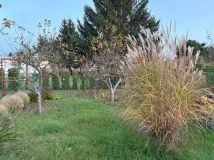 Działka rod Bydgoszcz. Zdjęcie 3