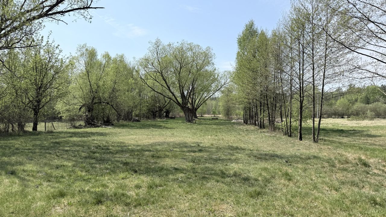 Działka budowlana Michałów, Długa 52. Zdjęcie 7