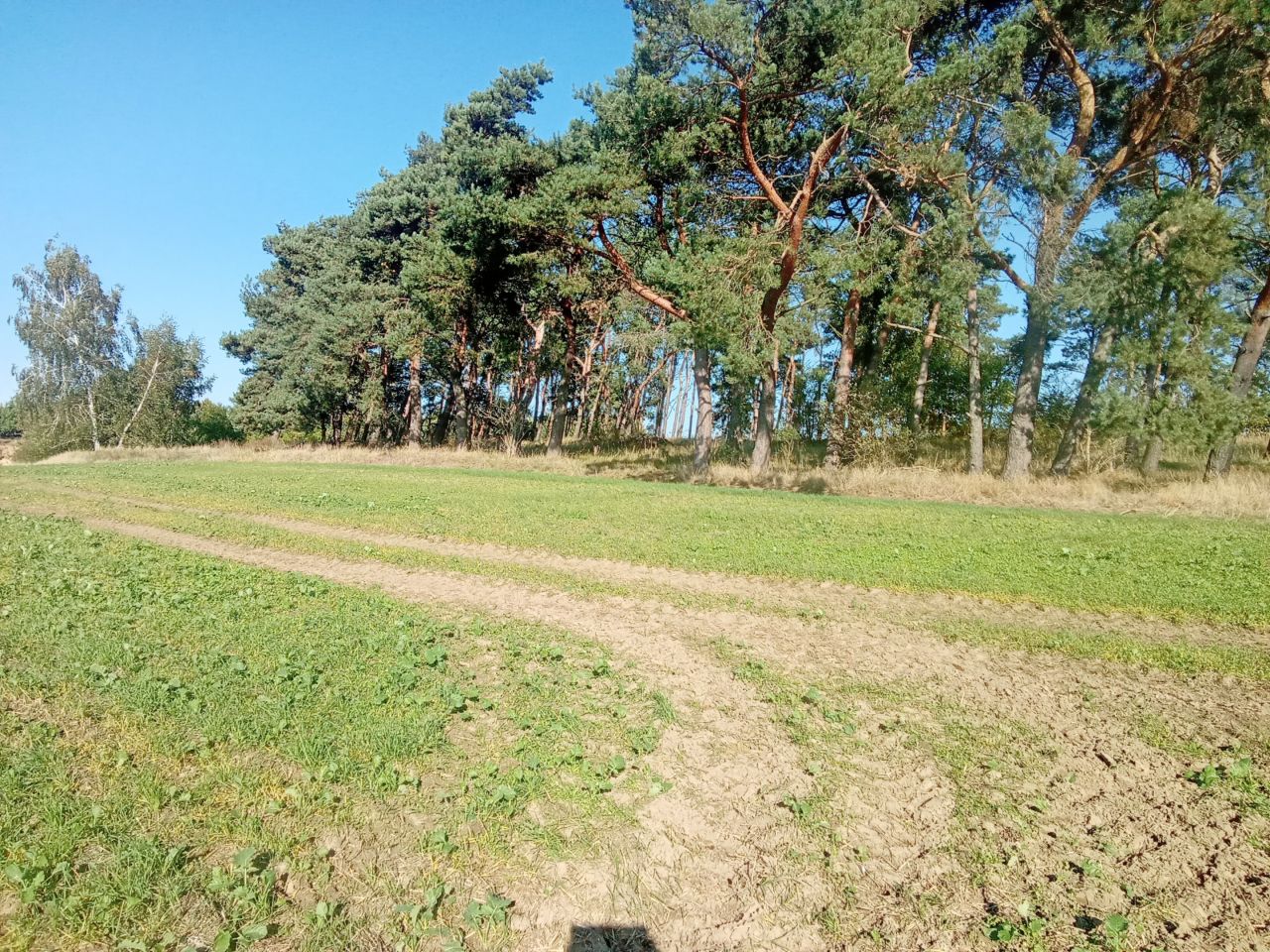 Działka rolna Parsów. Zdjęcie 10