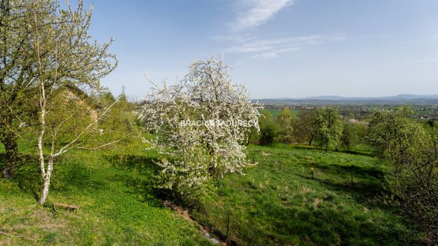 Działka budowlana Łazany. Zdjęcie 22