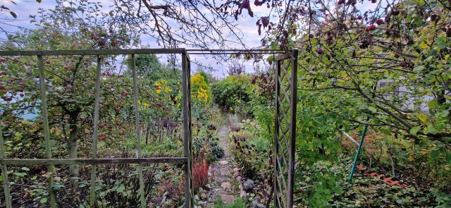 Działka rod Bolesławiec, ul. Piastów. Zdjęcie 1