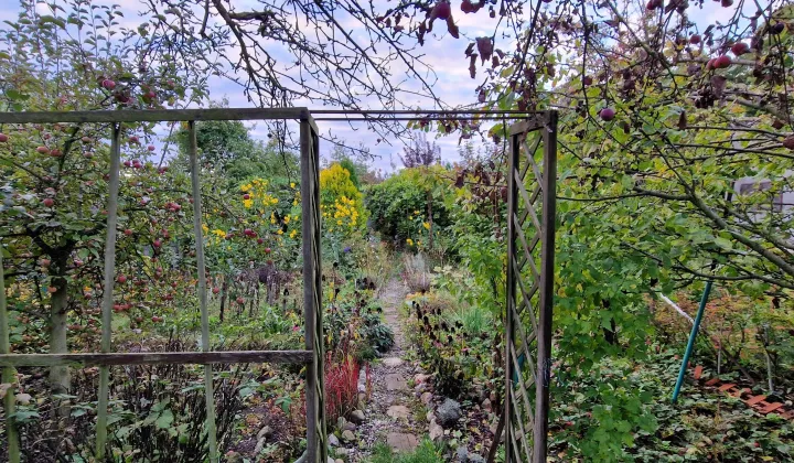 Działka rod Bolesławiec, ul. Piastów