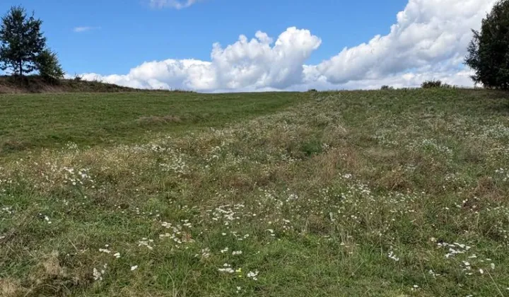Działka budowlana Grojec, ul. Pańska