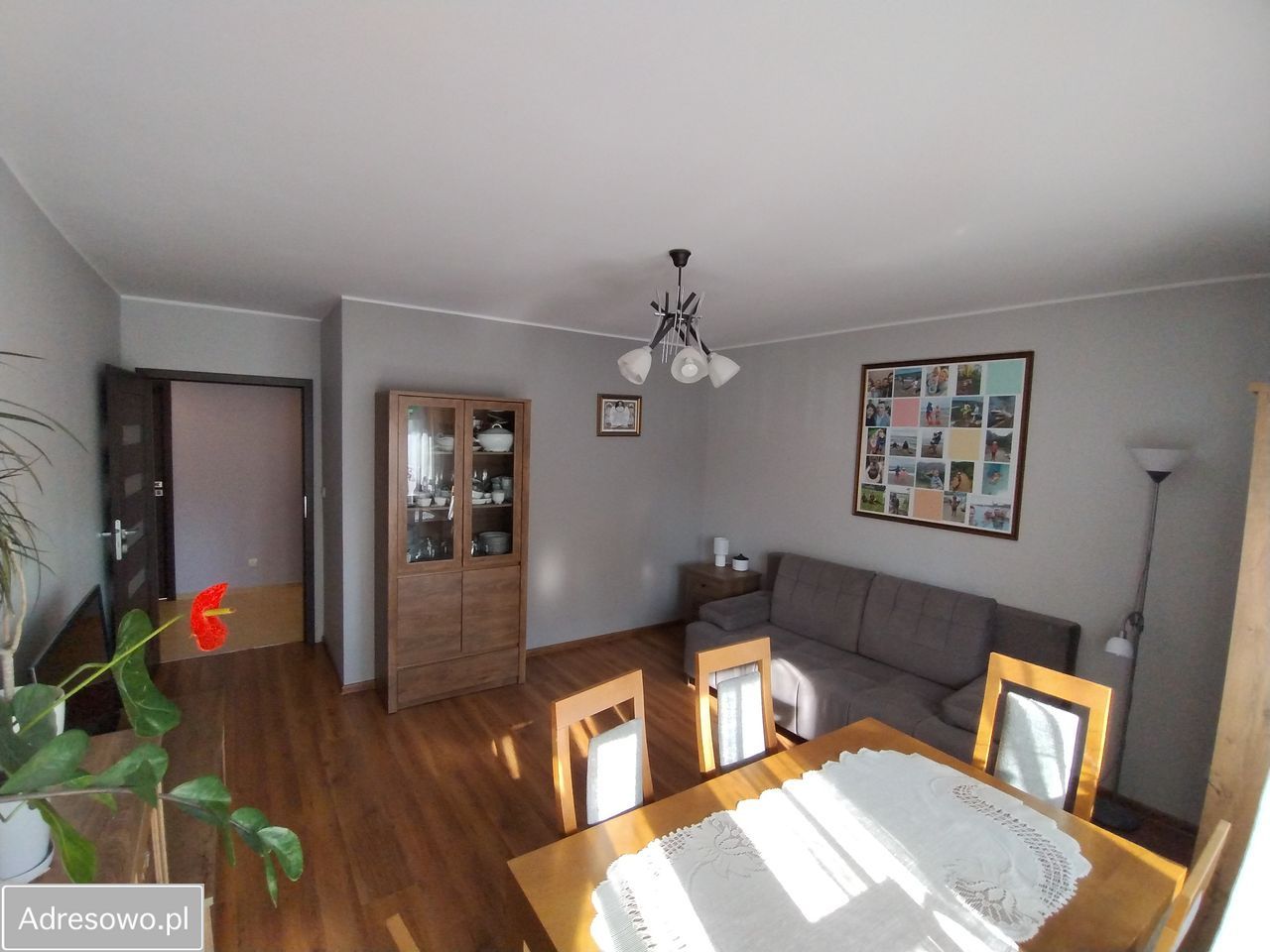 Mieszkanie 3-pokojowe Biała Podlaska, ul. Sapieżyńska. Zdjęcie 2