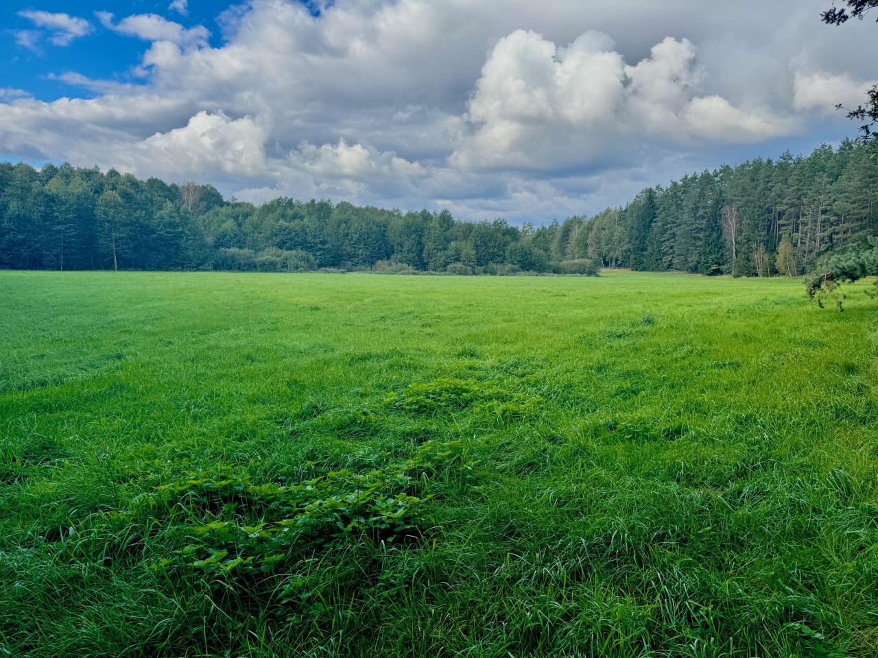 Działka rolna Nitki. Zdjęcie 5
