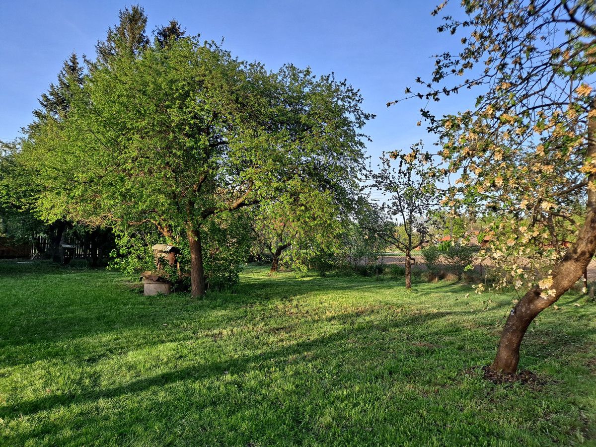 siedlisko, 3 pokoje Kleszczele, ul. Adama Mickiewicza. Zdjęcie 14