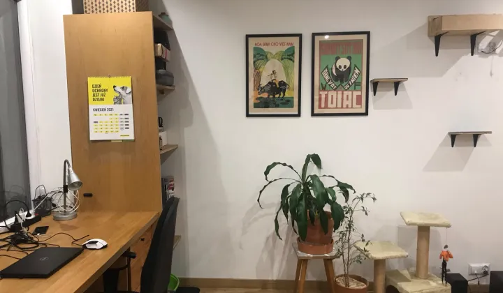 Mieszkanie 2-pokojowe Wrocław Stare Miasto, ul. Tadeusza Kościuszki