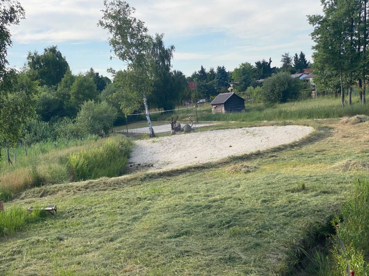 Działka siedliskowa Prądocin. Zdjęcie 4