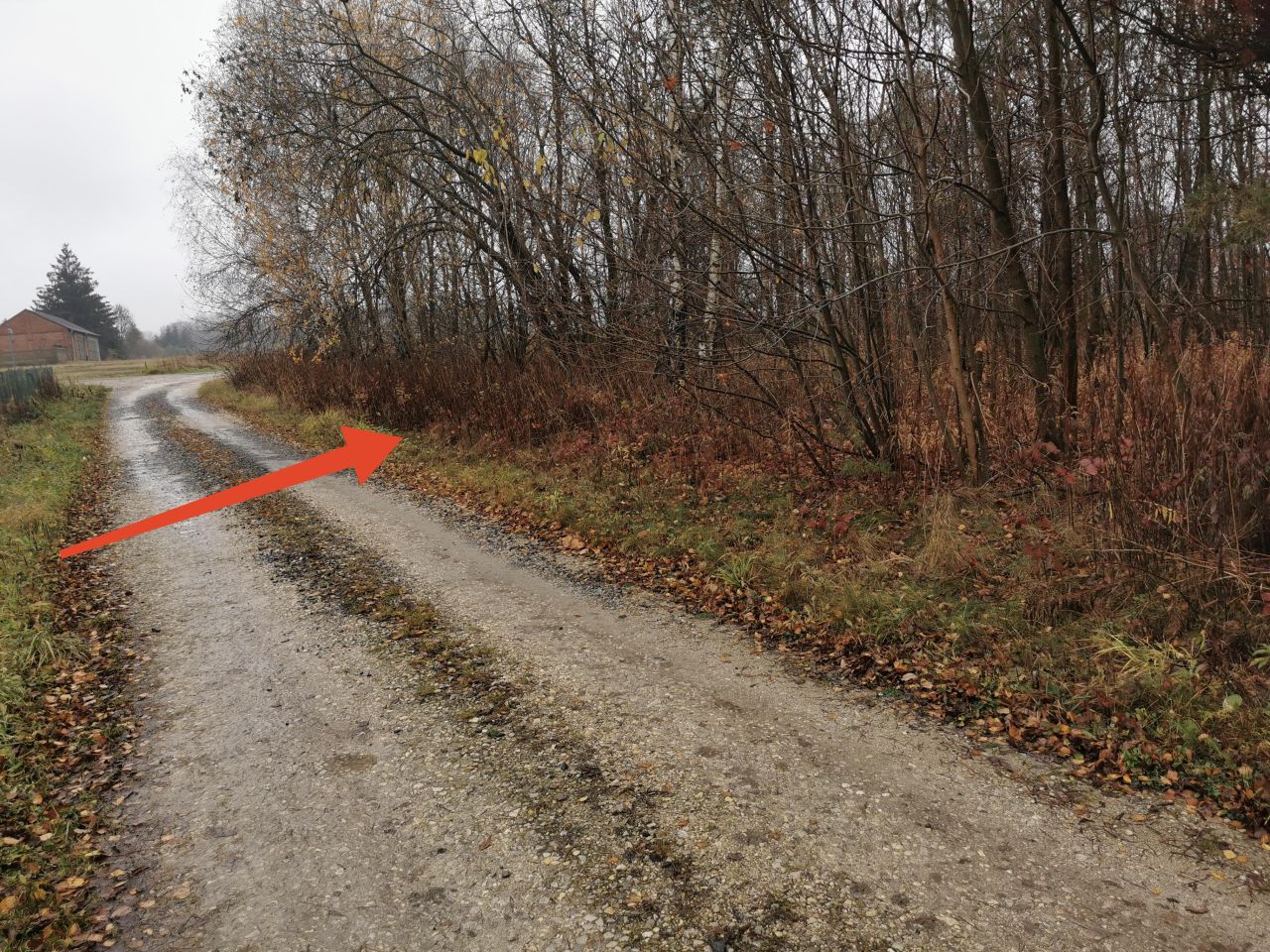 Działka budowlana Leokadiów, ul. Zacisze. Zdjęcie 2