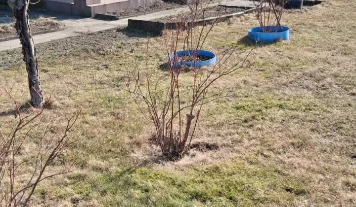 Działka rod Tomaszów Mazowiecki