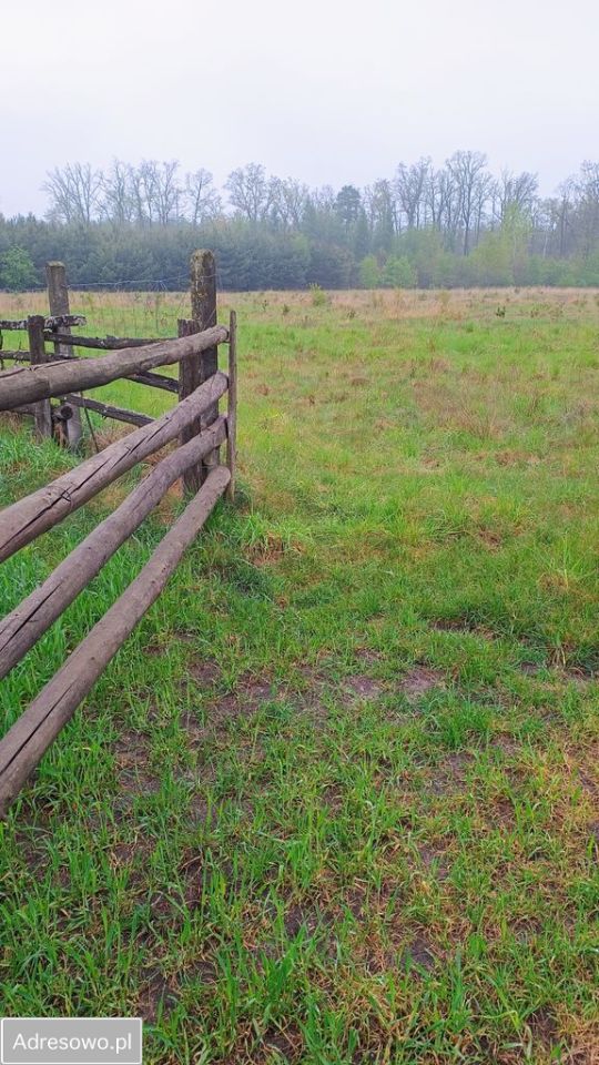Działka rolna Pracze. Zdjęcie 4