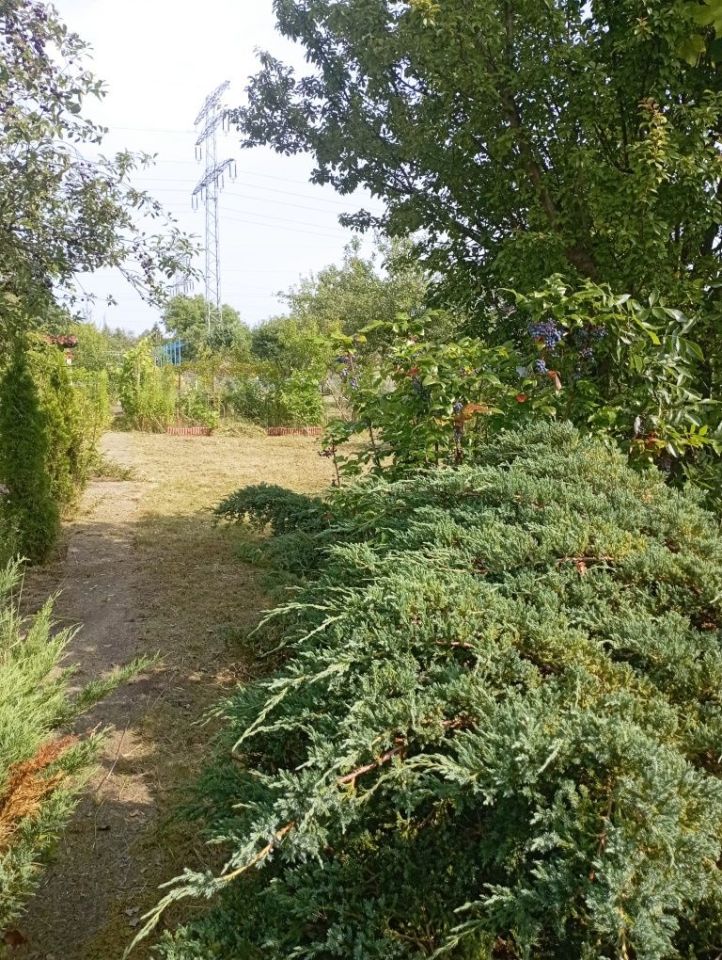 Działka rod Wrocław Stare Miasto, ul. Klecińska. Zdjęcie 5