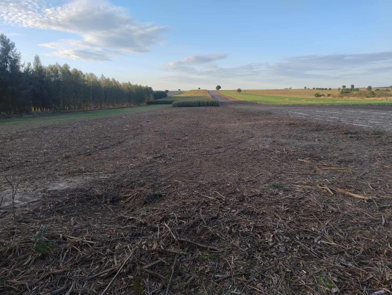 Działka rolno-budowlana Mokrzesz, ul. Częstochowska. Zdjęcie 3