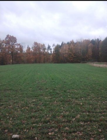 Działka siedliskowa Grzępa. Zdjęcie 1