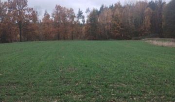 Działka siedliskowa Grzępa