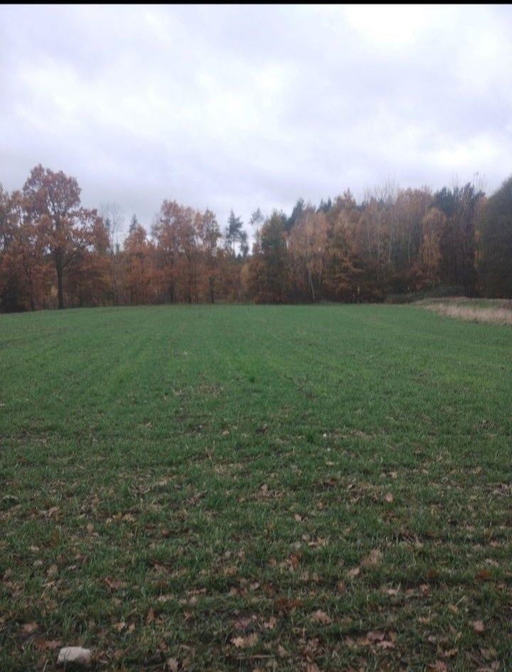 Działka siedliskowa Grzępa