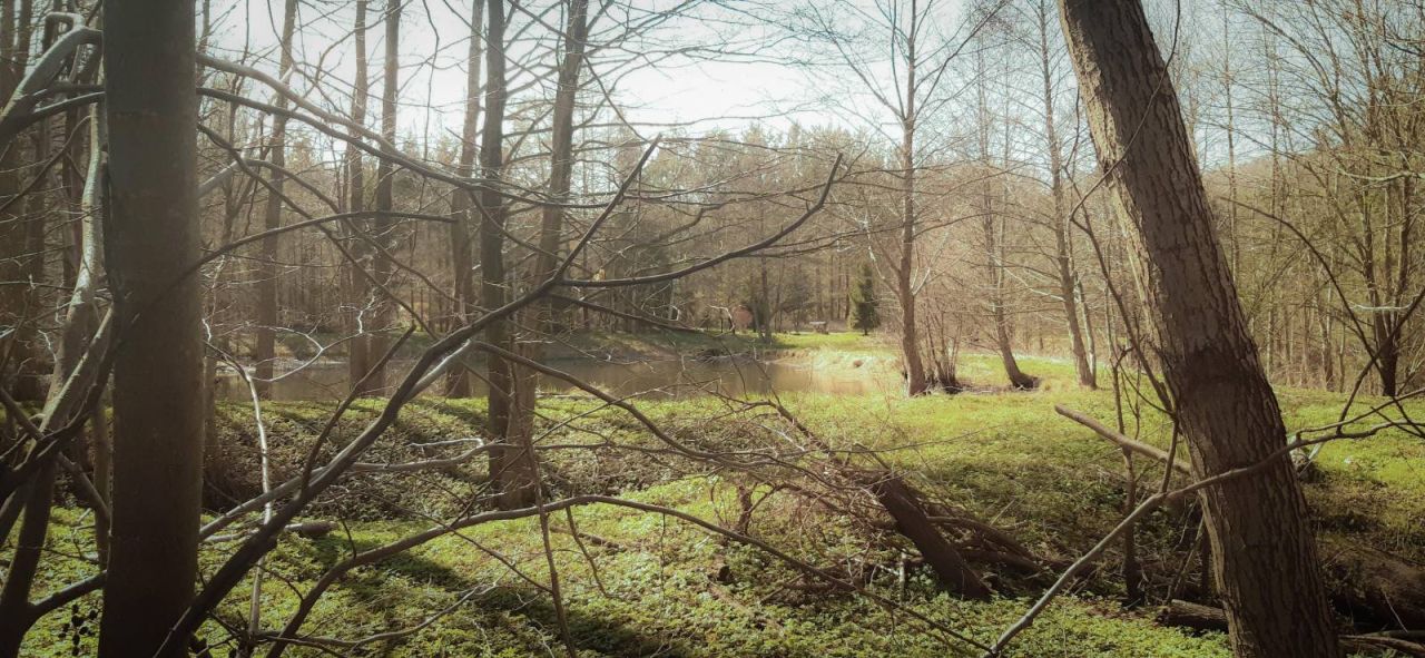 Działka budowlana Opalino. Zdjęcie 4