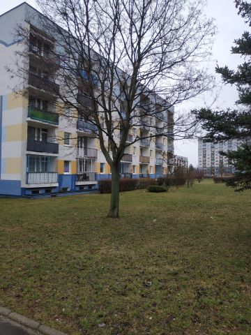 Mieszkanie 3-pokojowe Łódź Widzew, ul. Beli Bartoka. Zdjęcie 1