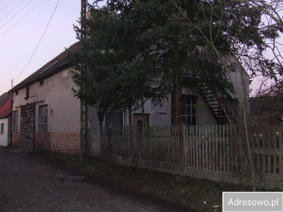 Hala/magazyn Bobrowice. Zdjęcie 3