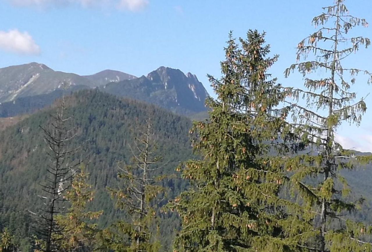 Mieszkanie 2-pokojowe Zakopane Toporowa Cyrla, ul. Cyrhla. Zdjęcie 18