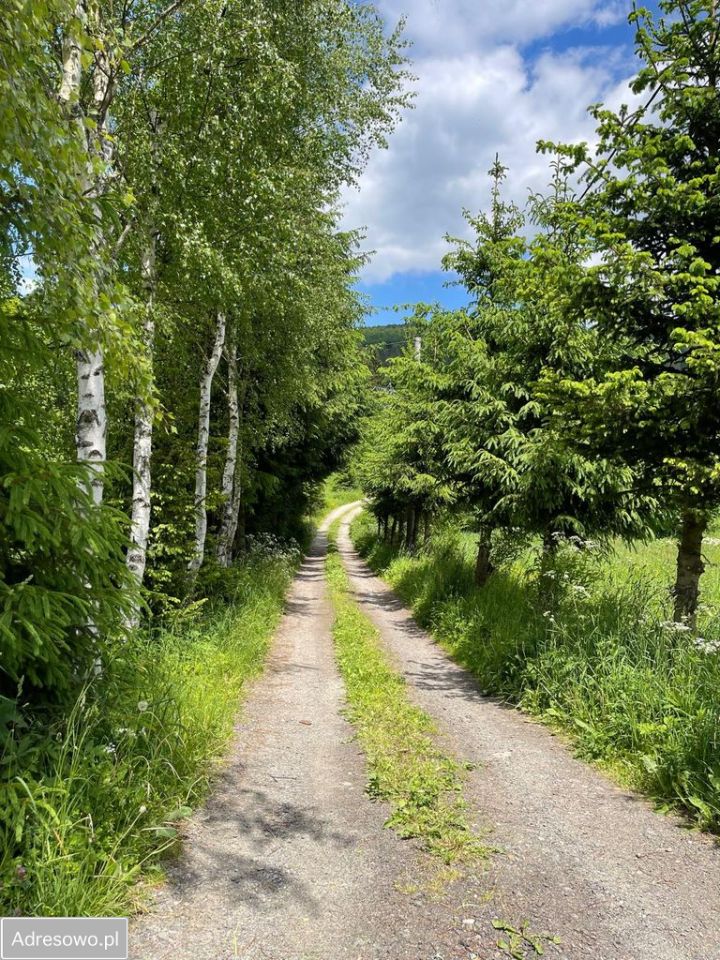 Działka budowlana Rzeczka. Zdjęcie 5