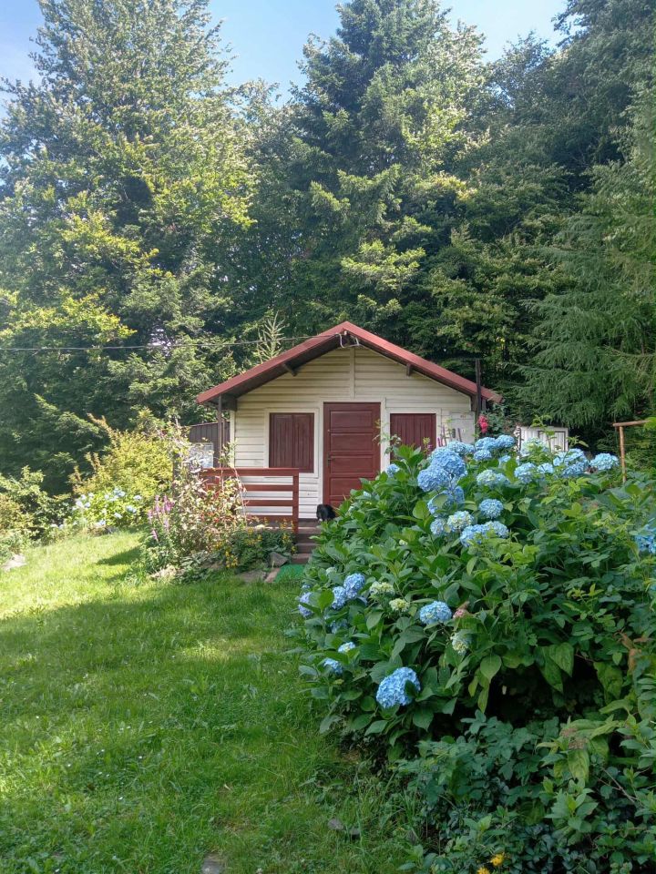 Działka budowlana Pewel Wielka. Zdjęcie 4