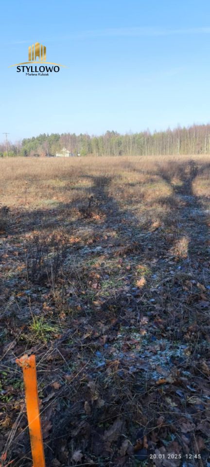 Działka budowlana Będźmierowice. Zdjęcie 4