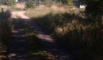 Działka budowlana Dębina, ul. Torfowa