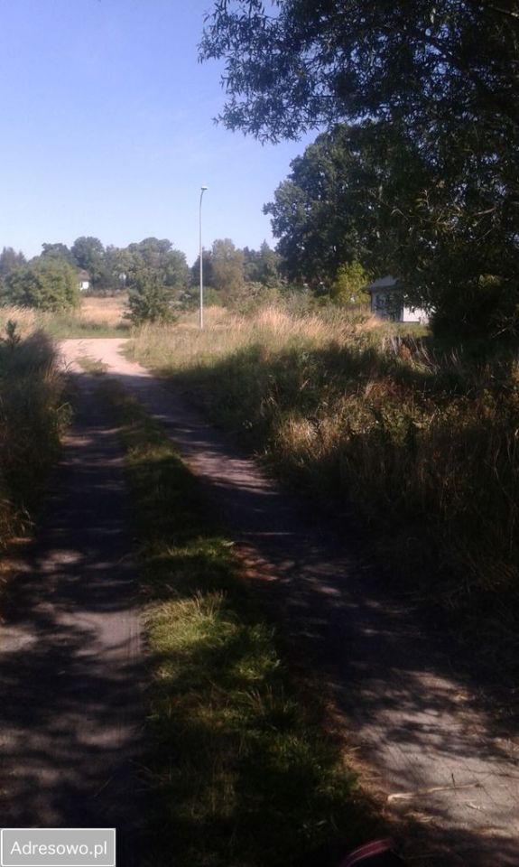 Działka budowlana Dębina, ul. Torfowa. Zdjęcie 2