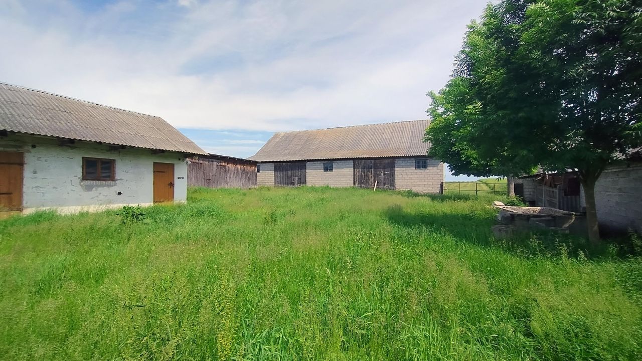 Działka rolno-budowlana Warzyn Pierwszy, 00. Zdjęcie 6