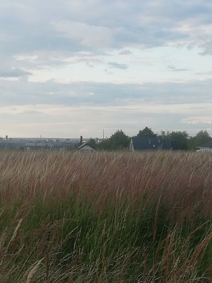 Działka budowlana Tyczyn Potoki, ul. Potoki. Zdjęcie 2