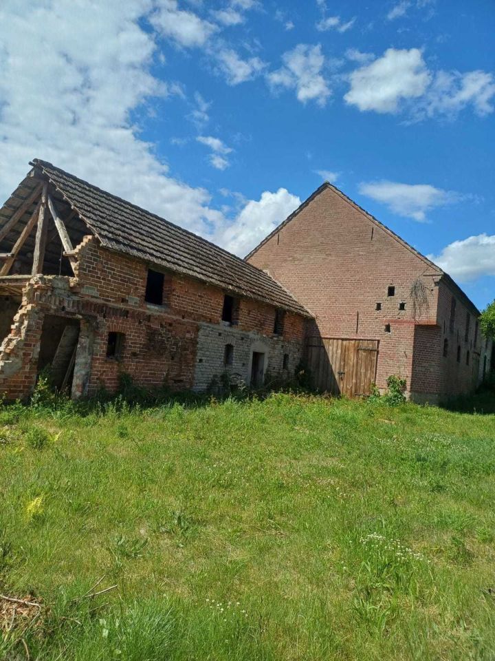 Działka budowlana Dzierżążno Wielkie. Zdjęcie 4