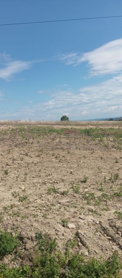 Działka budowlana Sowina. Zdjęcie 2