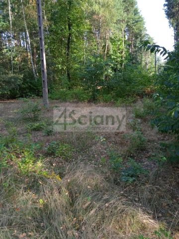 Działka budowlana Chotomów. Zdjęcie 2